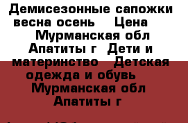 Демисезонные сапожки (весна-осень) › Цена ­ 300 - Мурманская обл., Апатиты г. Дети и материнство » Детская одежда и обувь   . Мурманская обл.,Апатиты г.